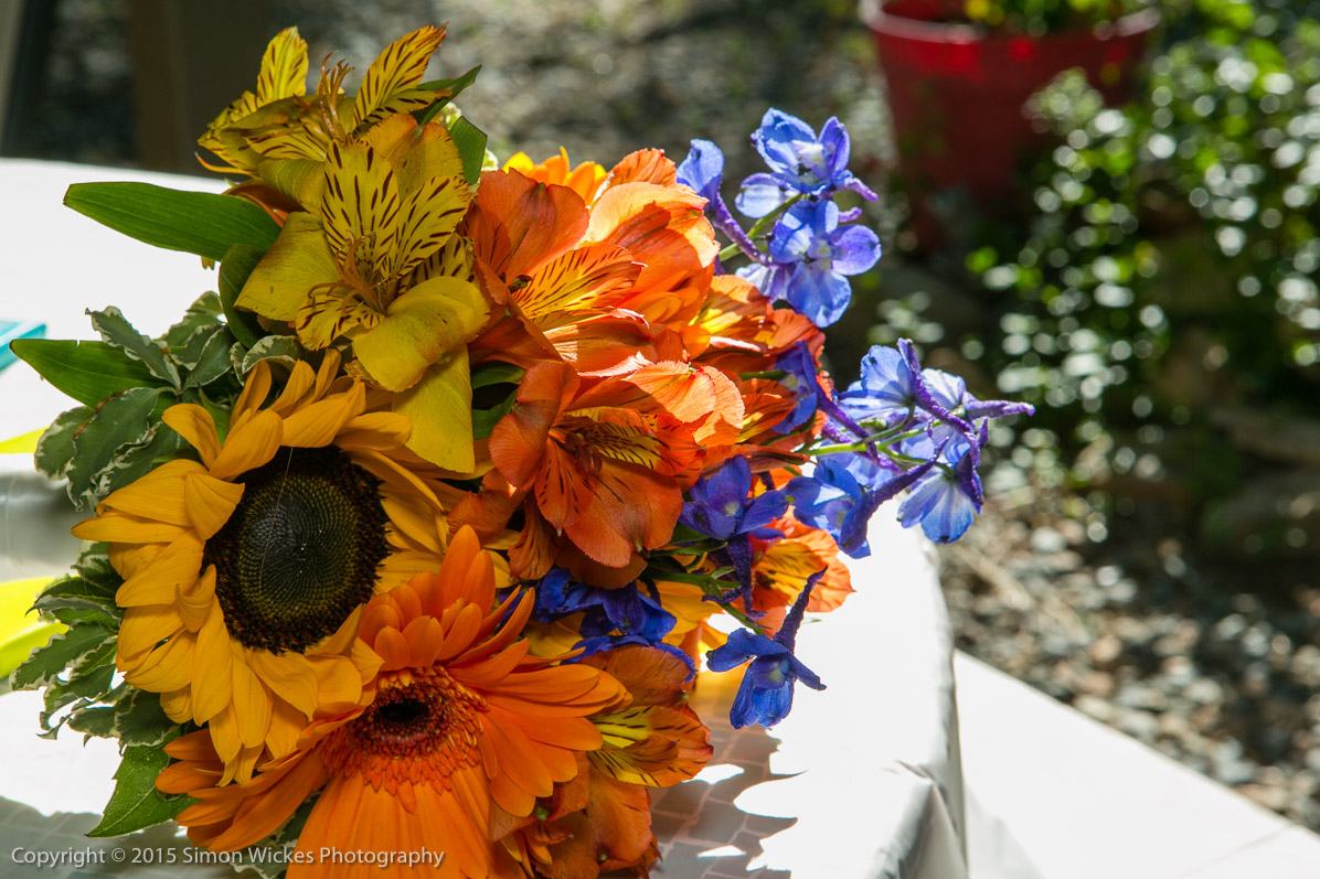 SW_20150725_4074