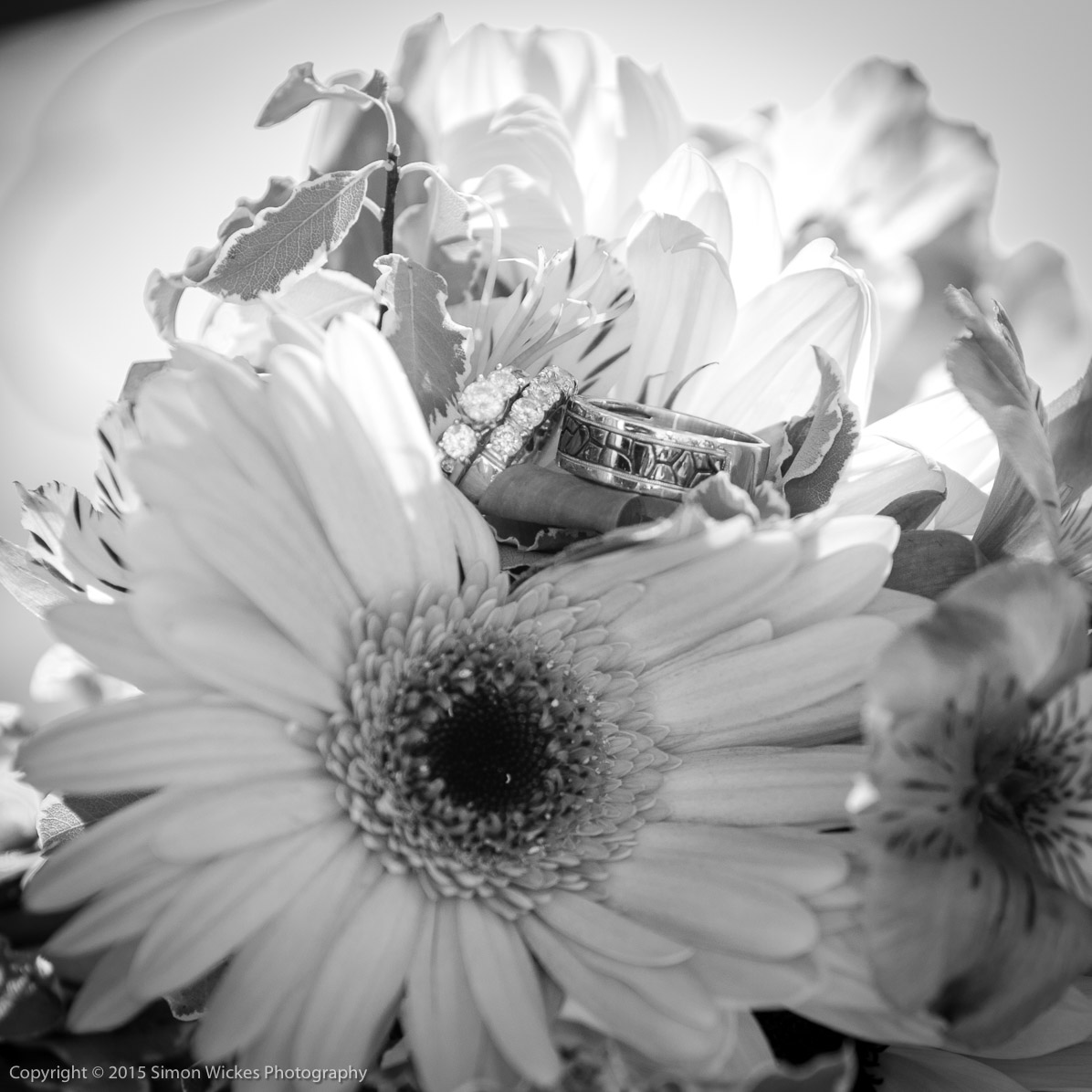 SW_20150725_4143